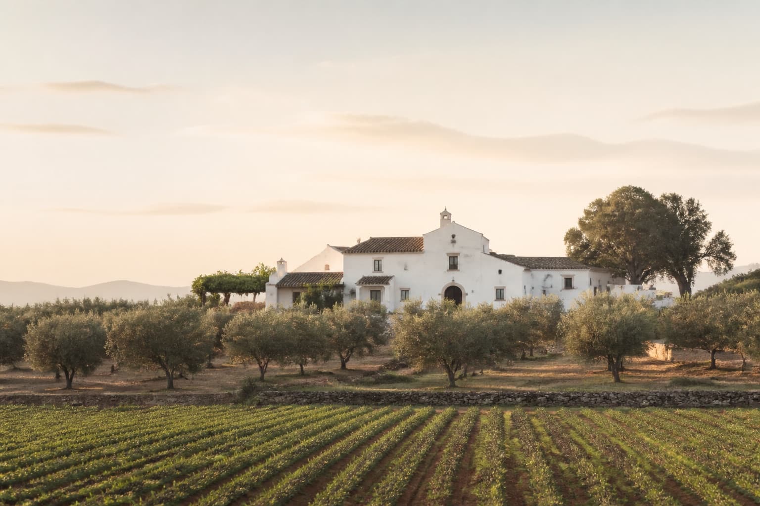 Soft morning view of a rustic farmhouse across cultivated fields
